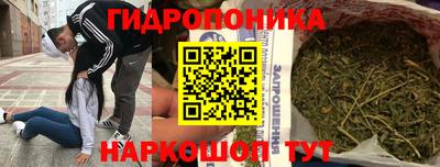 альфа пвп Владивосток