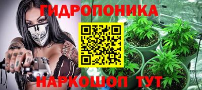 круглые Владимир