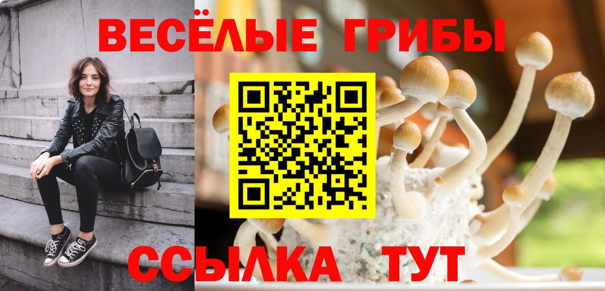 Псилоцибиновые грибы GOLDEN TEACHER  купить  цена  Вход с VPN  Аргун  Галлюциногенные грибы мухоморы 